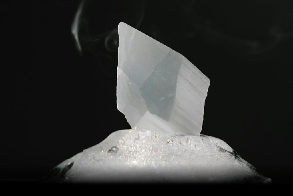 Πάγωμα (Freeze): Όταν το σώμα κρατά στάση αναμονής